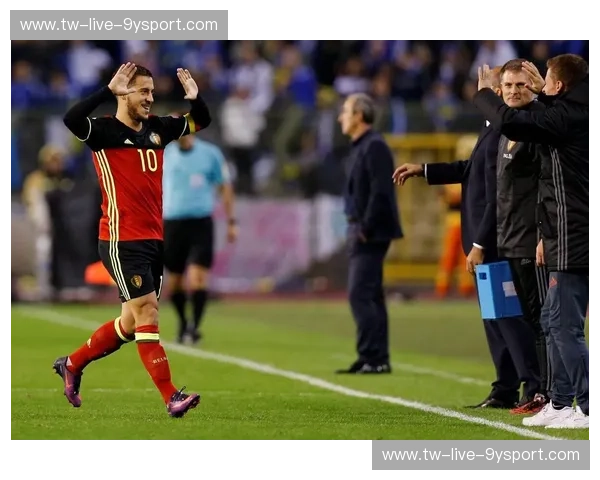 波黑vs比利时：足球荣耀之路上的命运交响曲